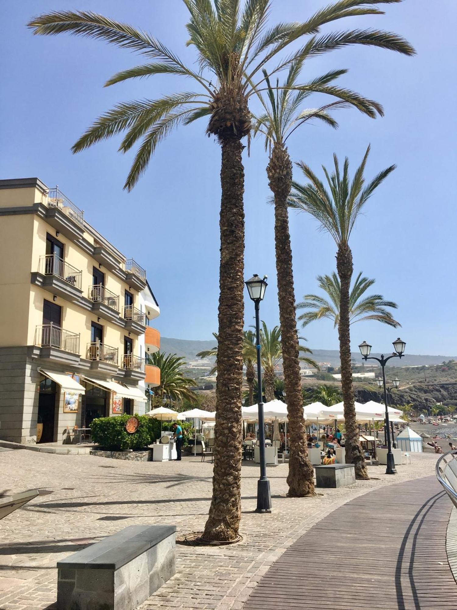 Number 5 At The Marina, Playa San Juan, South Tenerife 外观 照片